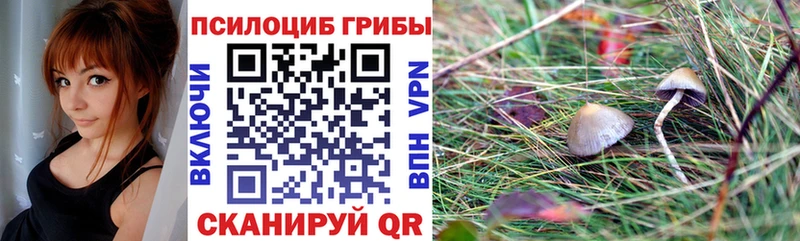 Псилоцибиновые грибы MAGIC MUSHROOMS  купить наркоту  Кирово-Чепецк 